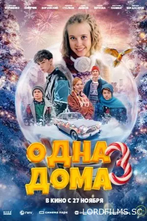 Одна дома 3